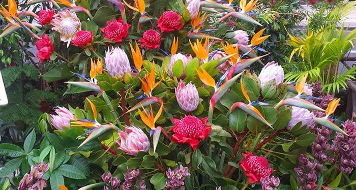 Machico Nature Ngoại thất bức ảnh