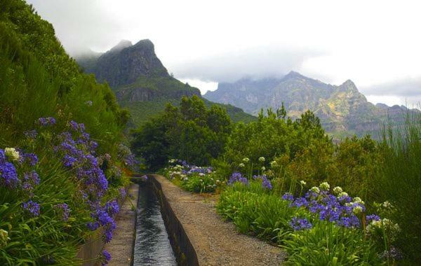 Machico Nature Ngoại thất bức ảnh